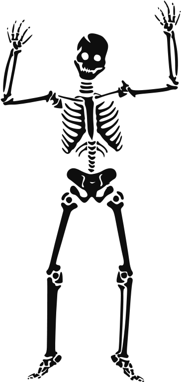 Skeleton Free Vector (640x800)
