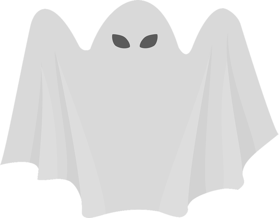 Free Photo Fear Anxiety Cat Terrible Fear Atrocities - Ghost (920x720)