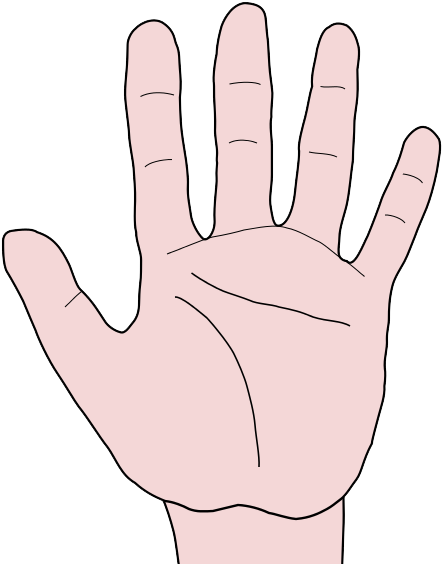 Hand Clipart Hand Palm - Sign Language (489x596)