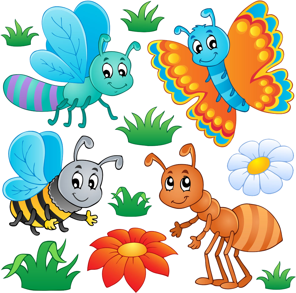 Insect Cartoon Clip Art - Insect Cartoon Clip Art (1024x1020)