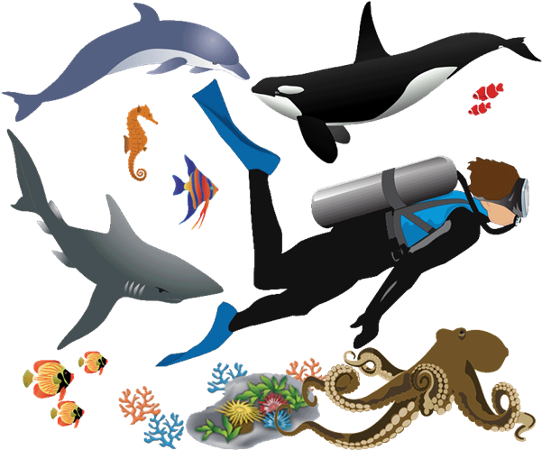 Luau - Orca Clipart (600x512)