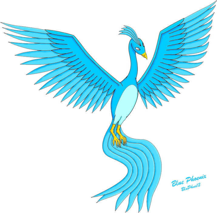 Blue Phoenix Png Image - Portable Network Graphics (900x783)