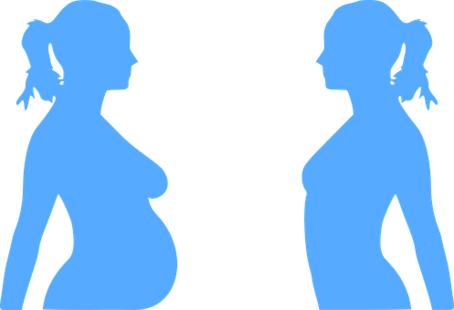 Pregnancy Pregnant Woman Baby Blue Belly P - Woman Silhouette Pregnant Mother Clipart (497x340)