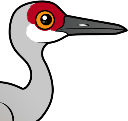 About The Sandhill Crane - Sandhill Crane (440x440)
