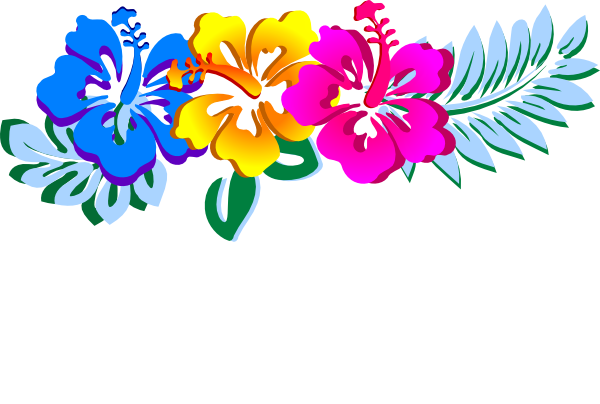 Hibiscus Sophia Clip Art - Clip Art (600x404)