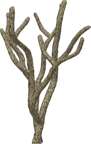 Coral 03 By Clipartcotttage - Coral Cliart Png (317x500)