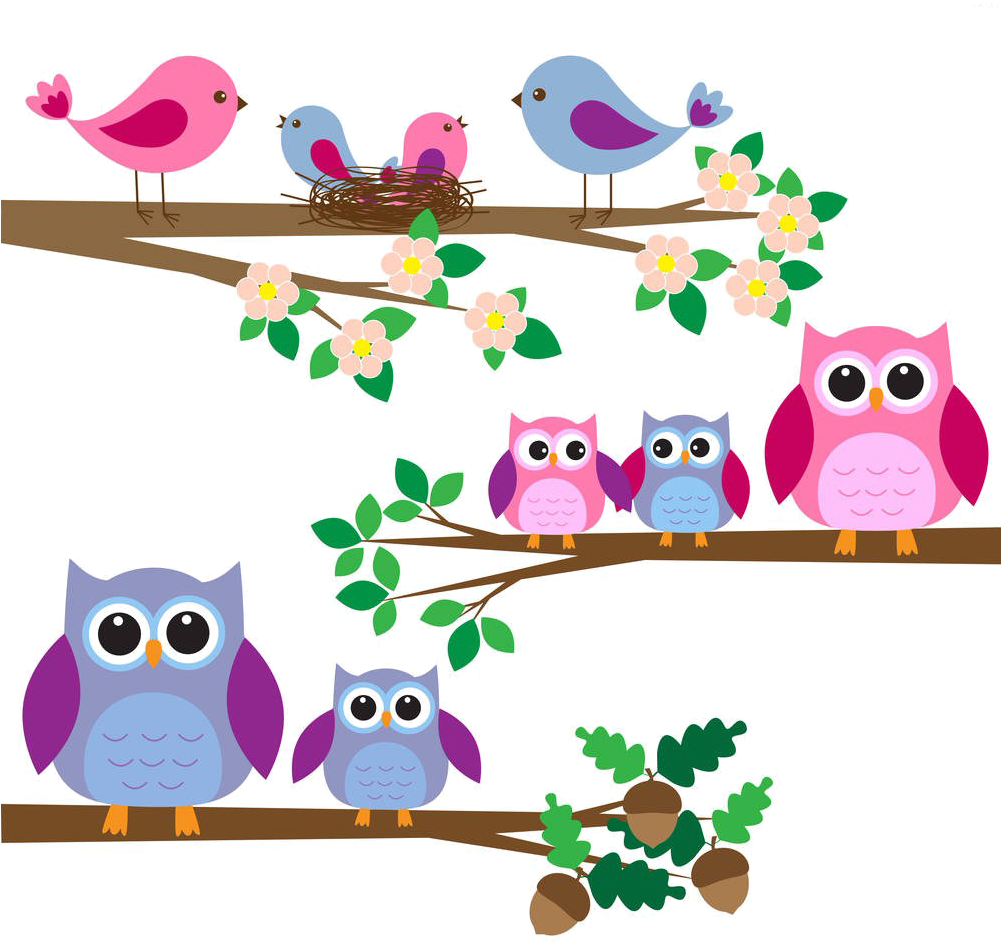 Owl Royalty-free Clip Art - Owl Royalty-free Clip Art (1000x1000)
