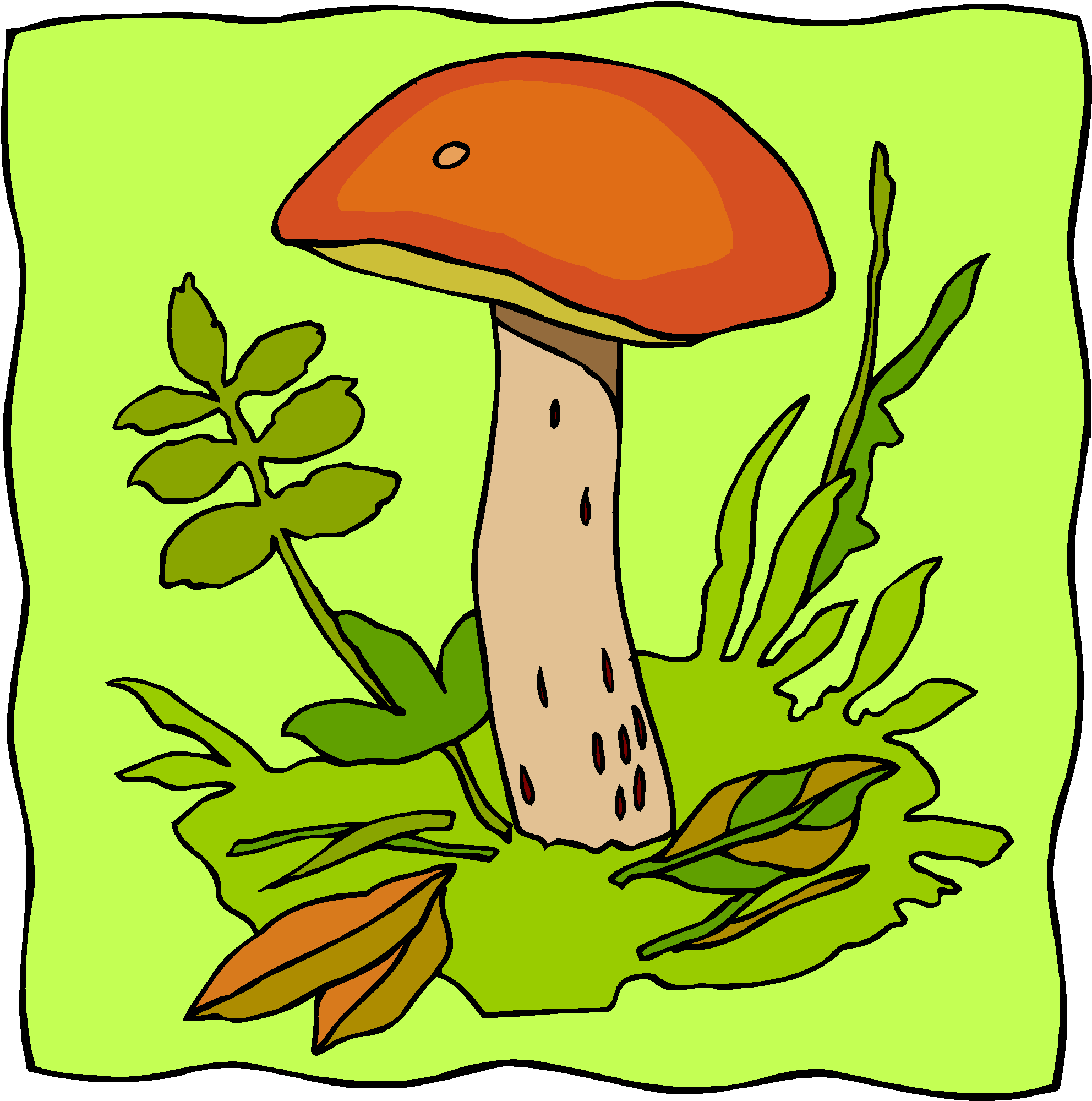 Mushrooms, Fungi, Bacteria - Edible Mushroom (2068x2084)