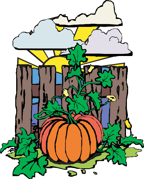 Pumpkin - Idaho Public Television (472x585)