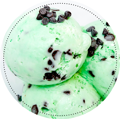Mint Chocolate Chip Ice Cream Pints - Partners Of The Americas (529x511)