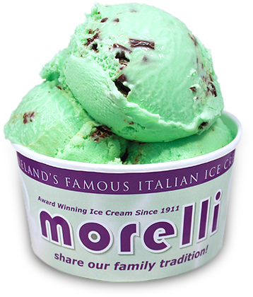 Mint & Belgian Chocolate Chip - Chocolate Chip (450x450)