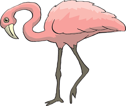 Pink, Bird, Flamingo, Long, Neck, Beak - Clip Art Animals With Two Legs (405x340)