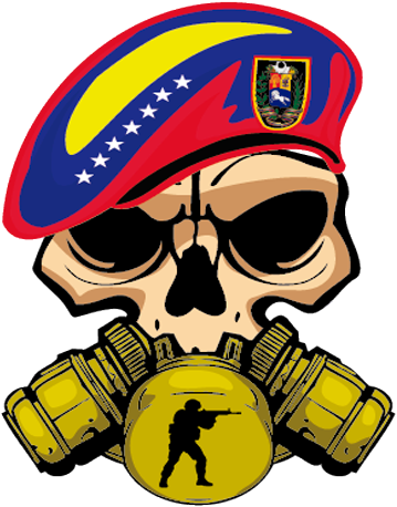 Csgovepro - Counter-strike: Global Offensive (489x480)