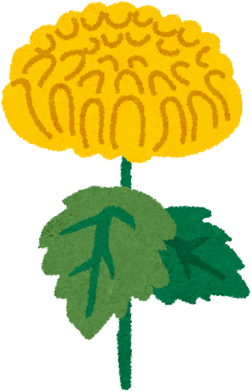 When - 菊 イラスト フリー (382x574)