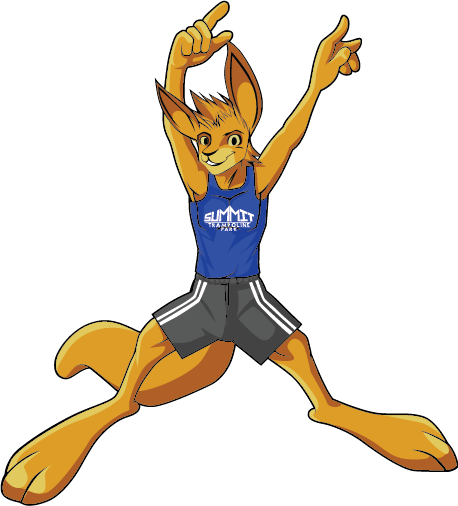 *not Applicable On Holidays - Summit Trampoline Park (458x506)