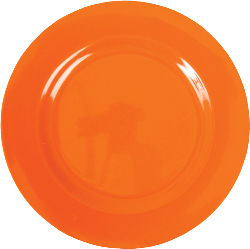 Ornage Plate Dish Png Image - Orange Plate Png (1080x1080)