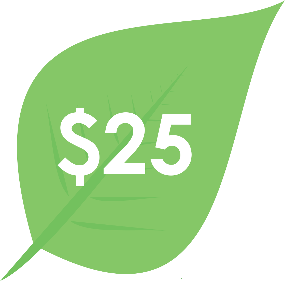 Donation $25 - Jnr (1350x1350)