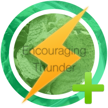 Personal Questions Quote Relationship Religion School - Encouraging Thunder Award (350x350)