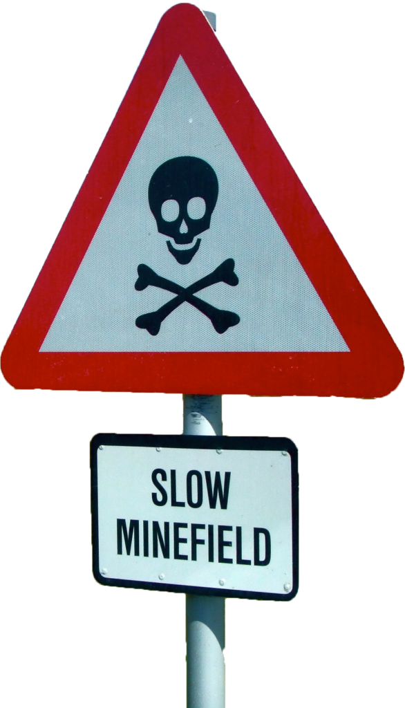 Minefield Sign - Cafepress Skull N Bones Throw Pillow (586x1024)
