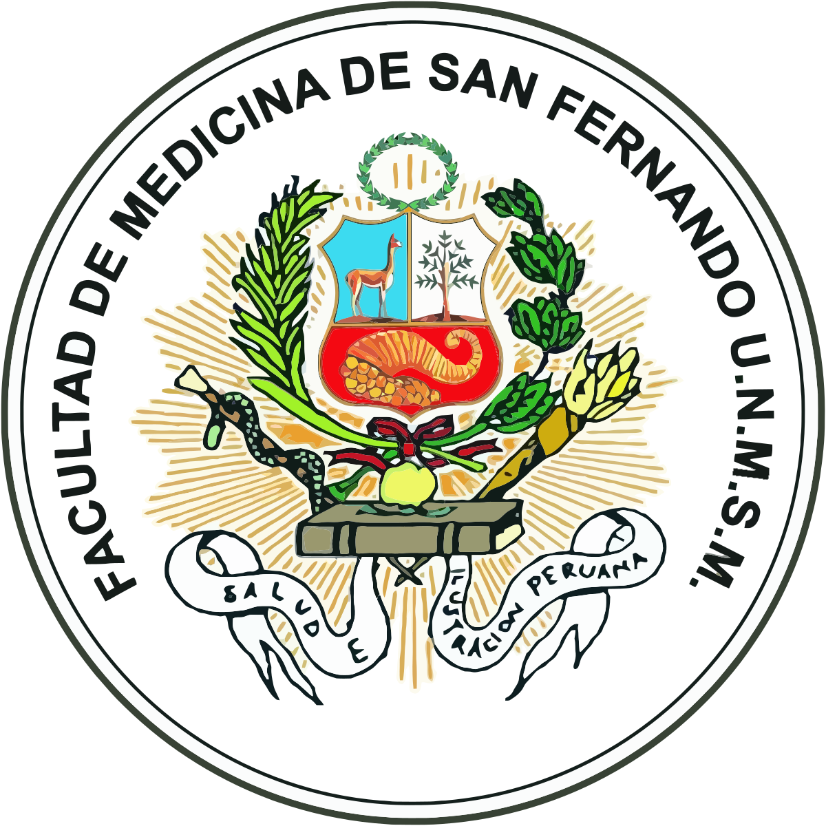 Facultad De Medicina "san Fernando" - Facultad De Medicina Unmsm Insignia (2000x2000)