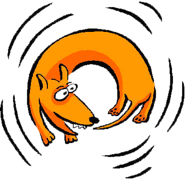 Chase Your Tail / Run Around Like A Headless Chicken=dar - Dog Chasing His Tail (373x361)