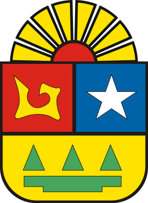 Governor Of Quintana Roo - Flag Of Cancun Mexico (300x411)