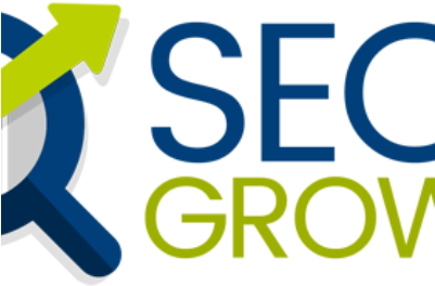 St Louis Seo - Seo Logo (400x300)