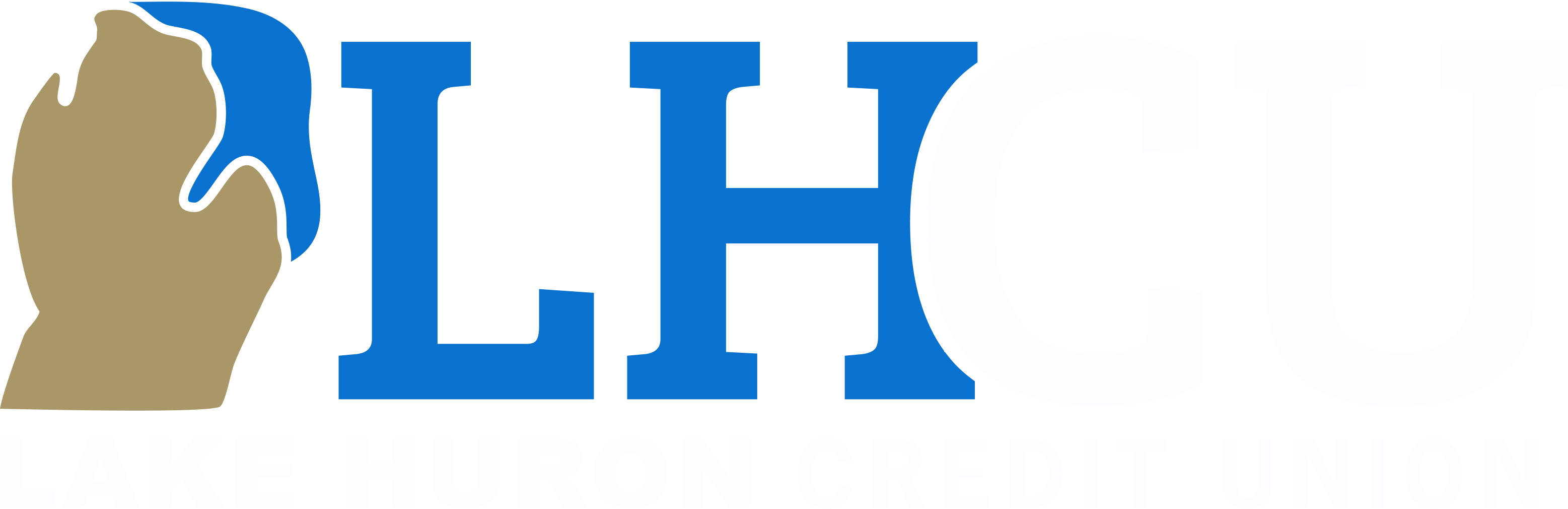 Lake Huron Credit Union - Lake Huron Credit Union (3114x1010)