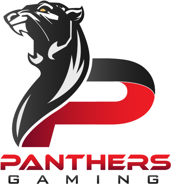 Panthers Csgo (600x635)