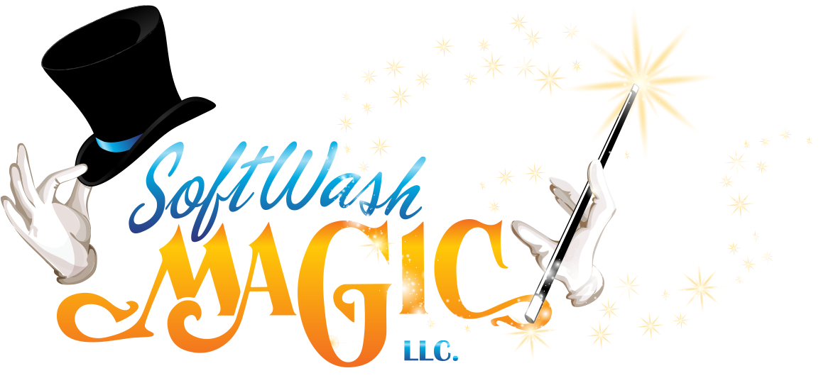 Softwash Magic - Roof Cleaning (1200x546)