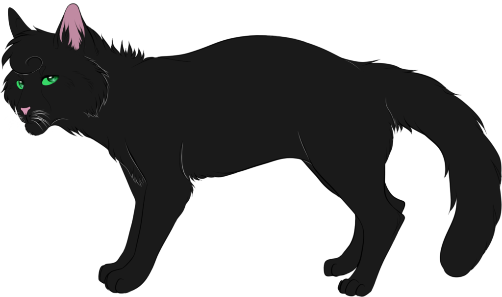 Hollyleaf By Spottedfire23 Hollyleaf By Spottedfire23 - Drawing (1024x605)
