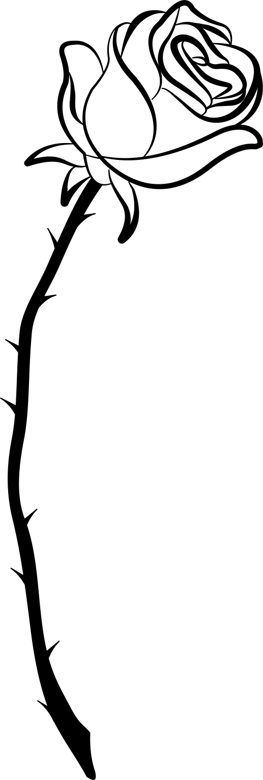 Crafty - Crafty (517x1532)