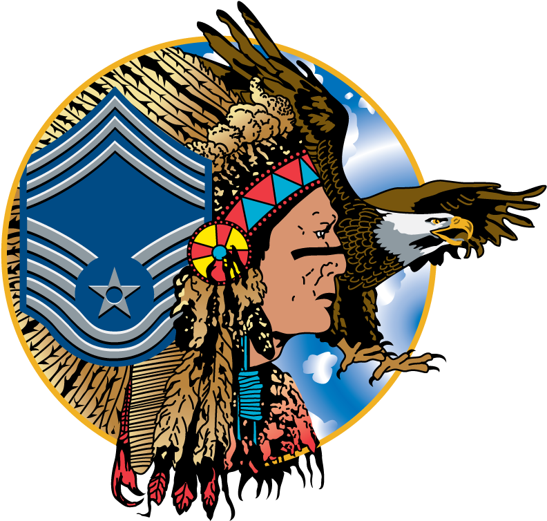 Usaf Chief Head - Chief Master Sergeant Of The Air Force (800x800)