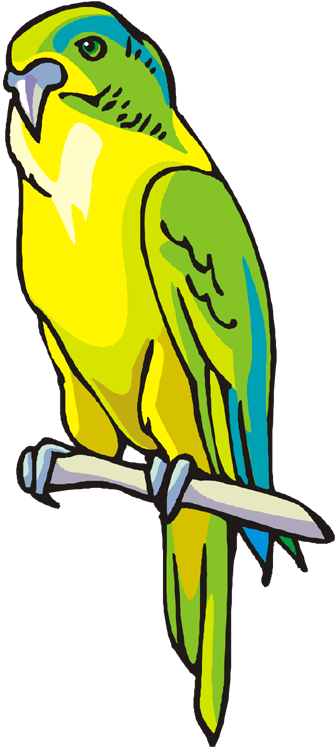 Yellow And Green Parrot - Parrot Clip Art Png (336x750)