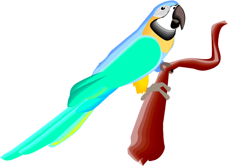 True Parrot (750x551)