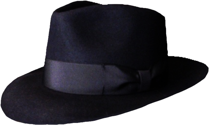 Mlg Fedora For Pinterest - Cowboy Hat (800x800)