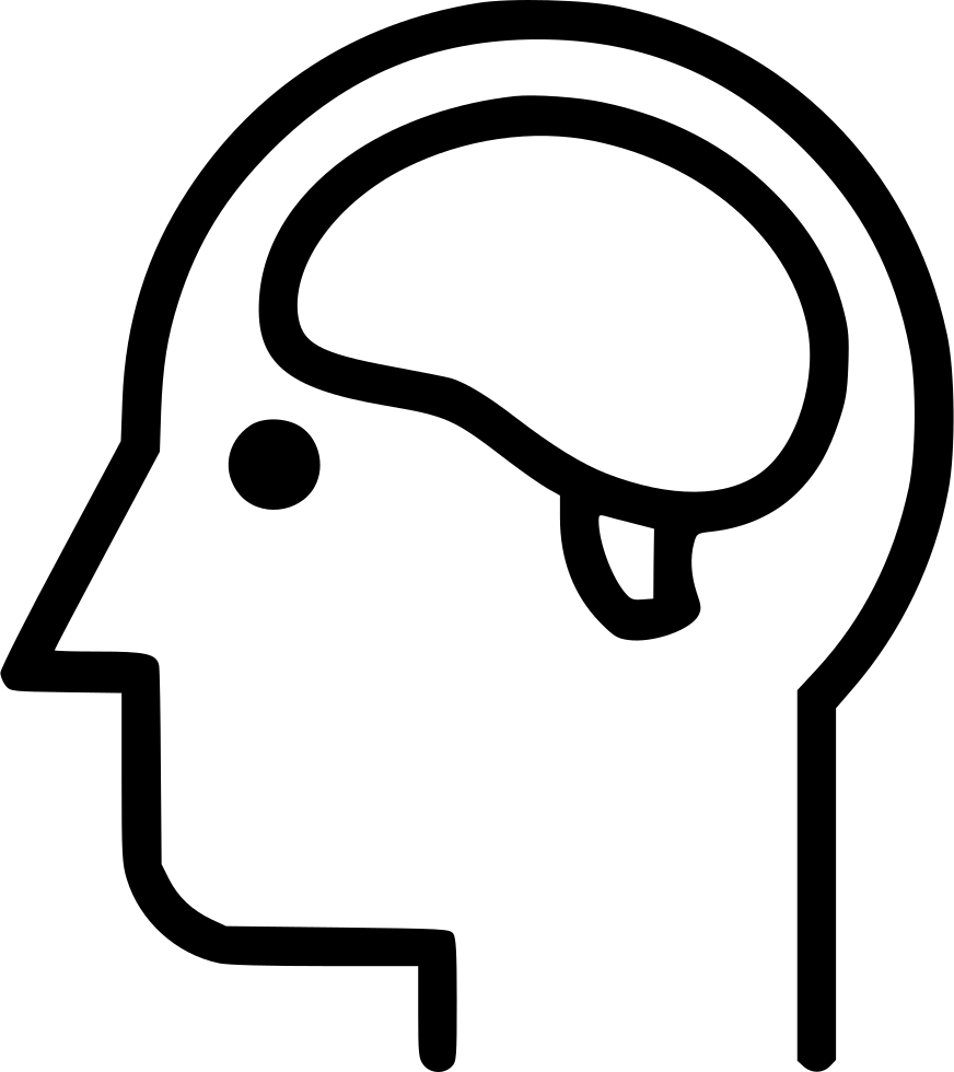 Brain Nervous System Mind Head Anatomy Comments - Nervous System (872x980)