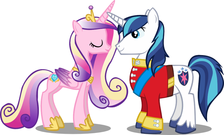 Princess Cadance And Shining Armor (900x544)