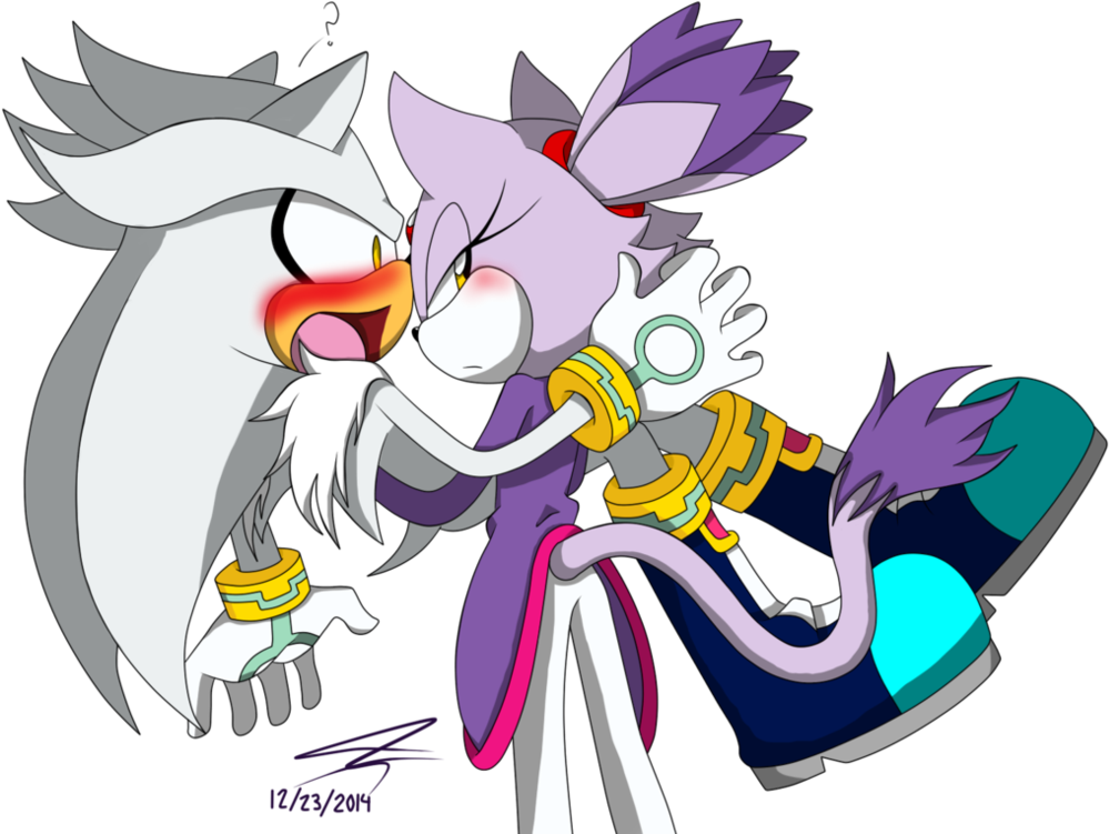 12/23/2014 Hedgehog Bird Mammal Cartoon Vertebrate - Photography (1008x792)