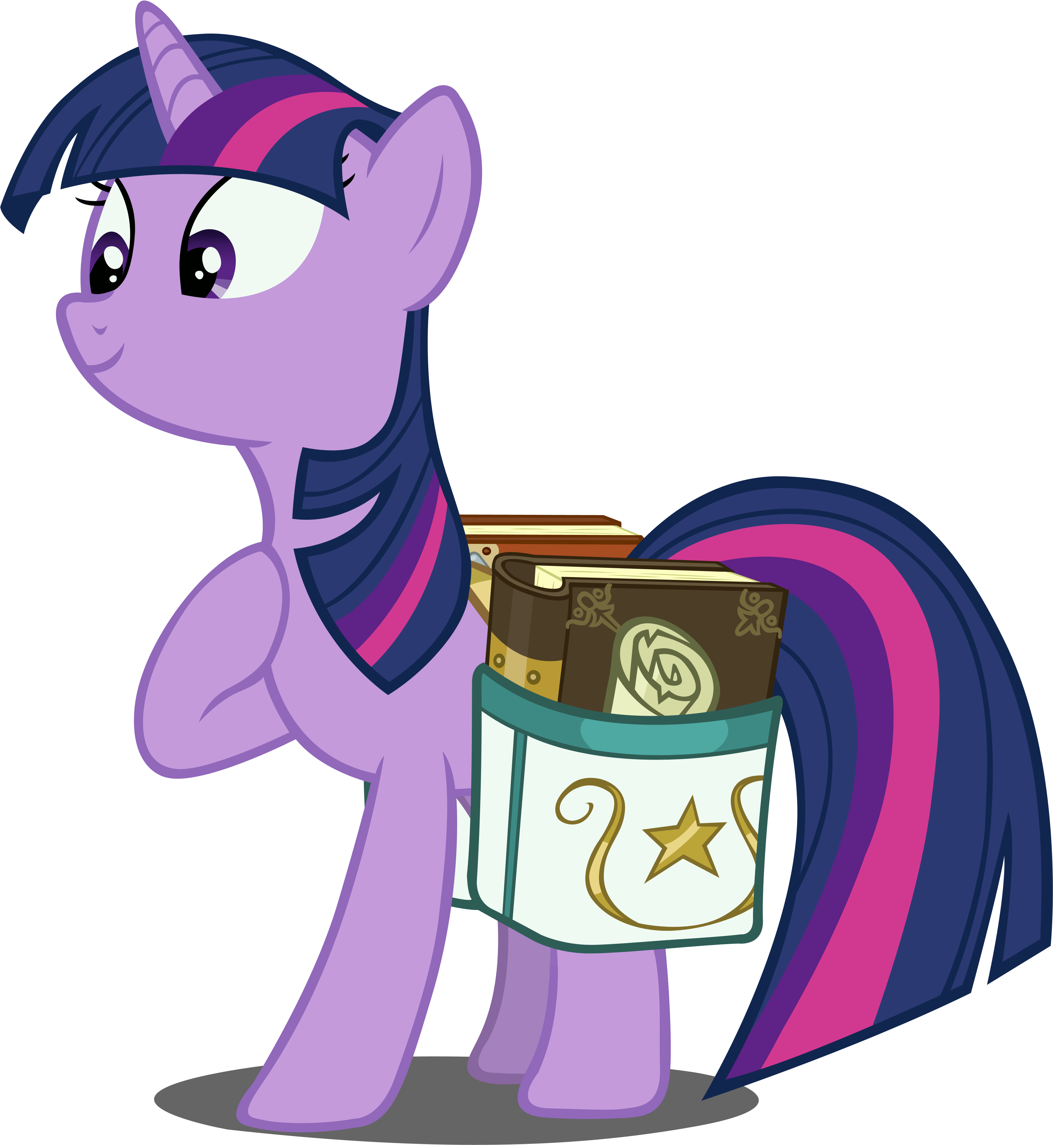 Twilight With A Saddlebag By Dipi11 - Little Pony Friendship Is Magic (4000x4266)