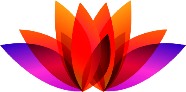 The Amazing India - Flower (919x300)