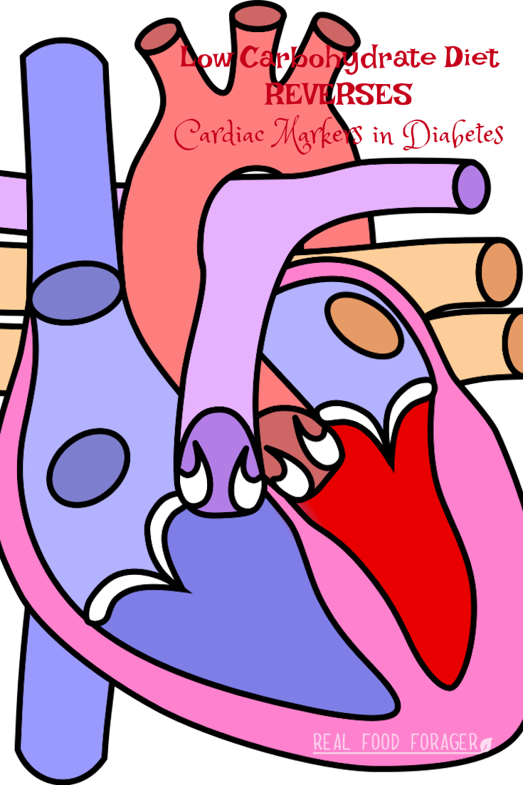 Low Carbohydrate Diet Reverses Cardiac Markers In Diabetes - Diagram Of The Heart (735x1102)