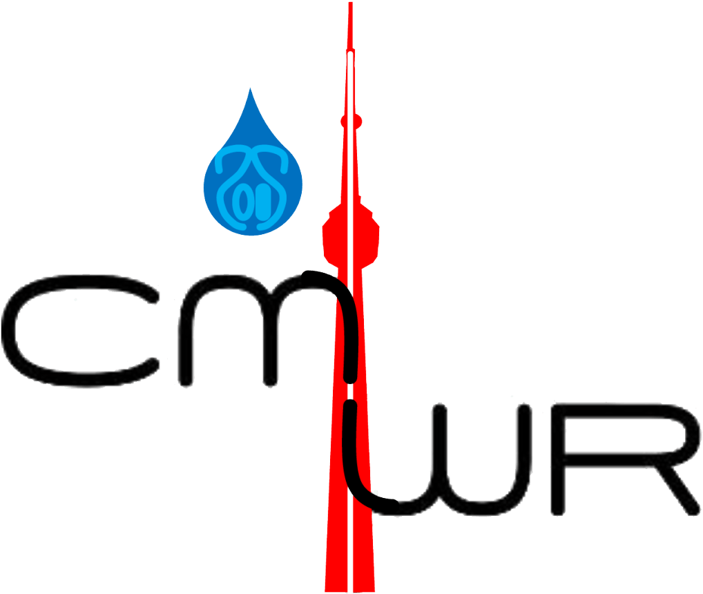 [june 21-24, 2016] Bo Attended The Computational Methods - Water Resources (1024x863)