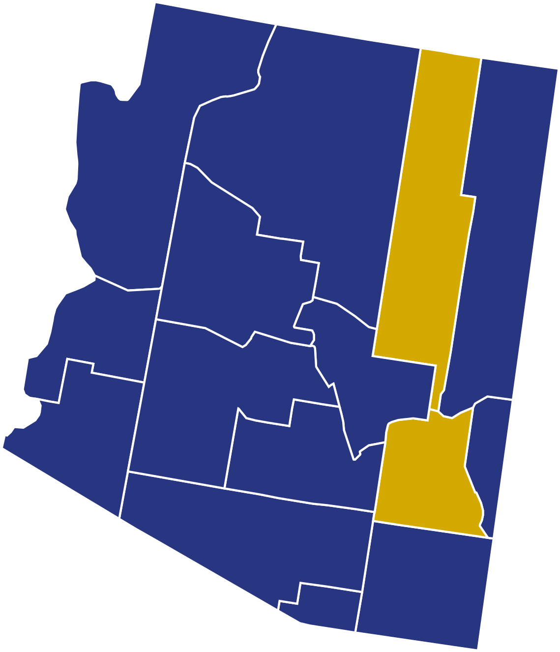 Arizona 2016 Election Results (1200x1399)