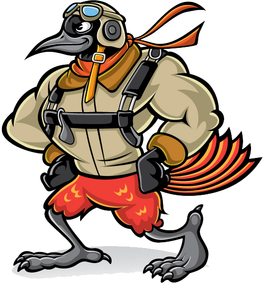 Cfi Guy Arizona Logo - Bird Pilot Cartoon (528x572)