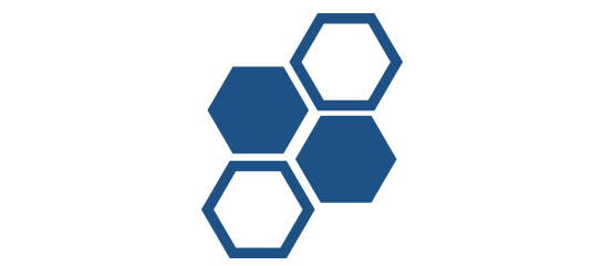 Undergraduate Program - Language (593x257)