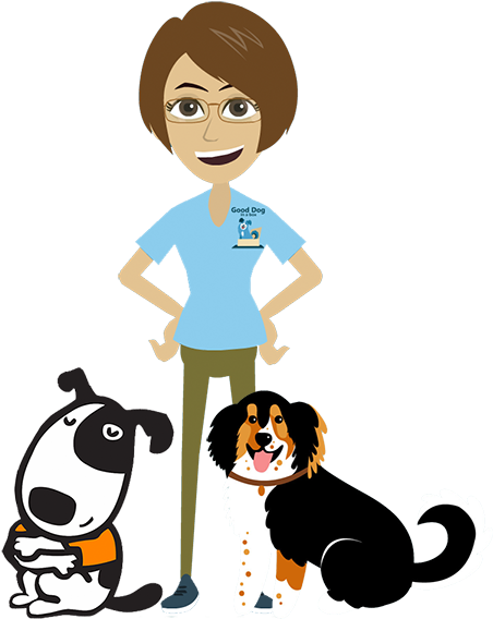 4 Months Of Training Exercises For Stressed Out Dogs - Thunder Leash, Large (600x576)