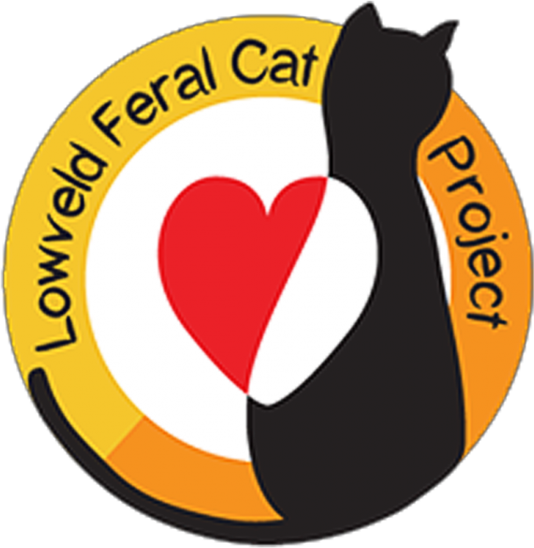 Feral Cat (1200x900)