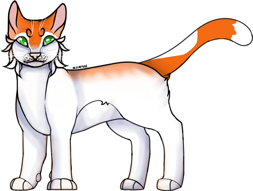 Stray, 1 Year, Mollie - Domestic Short-haired Cat (960x730)