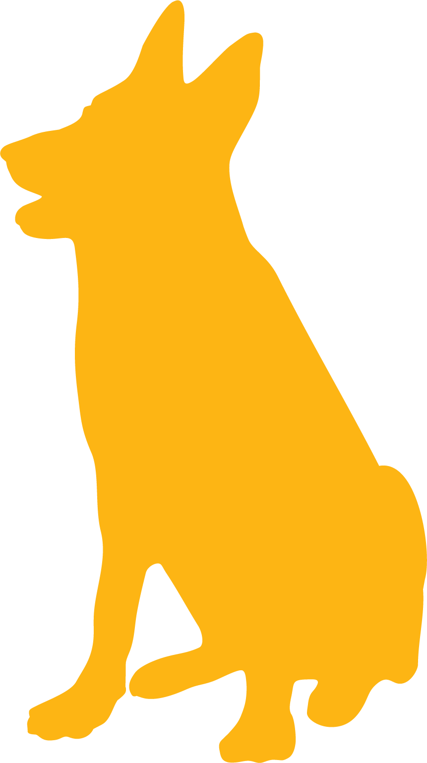 Search & Rescue Training - German Shepherd (861x1539)